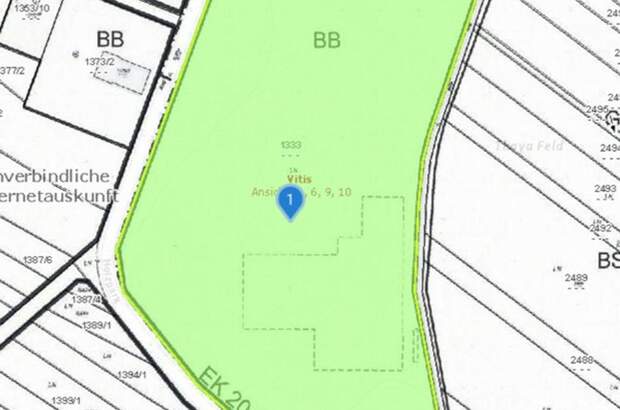 Gewerbeobjekt kaufen in 3902 Vitis (Bild 4)