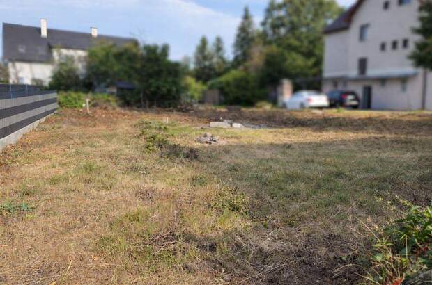 Grundstück kaufen in 2752 Wöllersdorf (Bild 2)