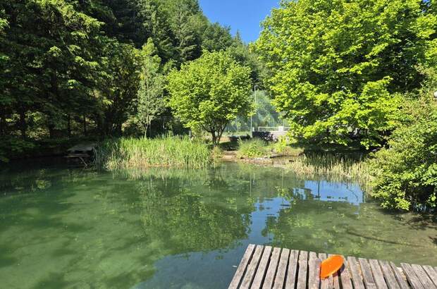 Mehrfamilienhaus kaufen in 3341 Ybbsitz (Bild 2)