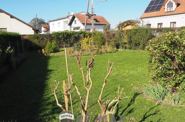 Einfamilienhaus kaufen in 3424 Zeiselmauer (Bild 1)