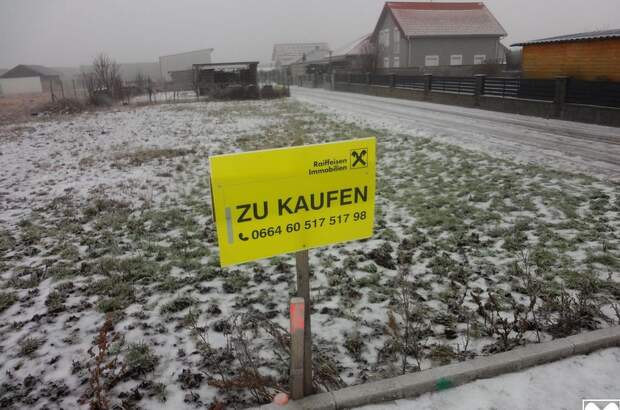 Grundstück kaufen in 7083 Purbach (Bild 1)