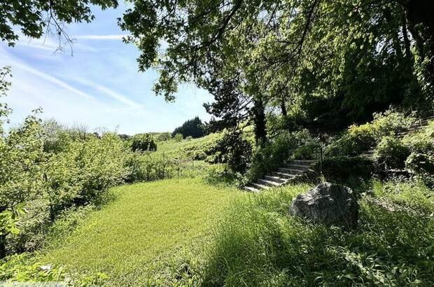 Grundstück kaufen in 2340 Mödling (Bild 4)