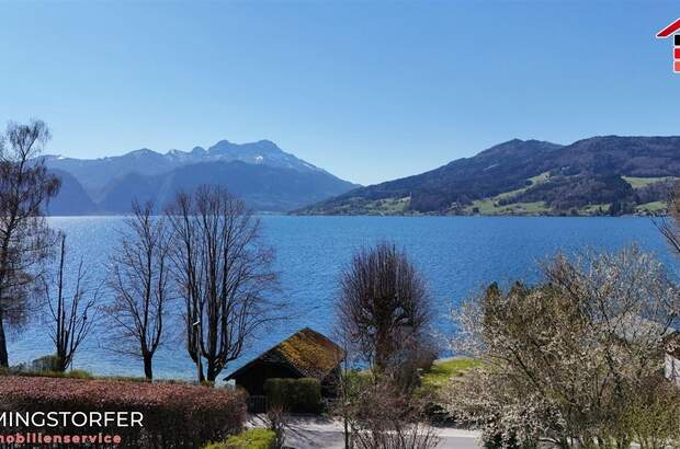 Haus kaufen in 4853 Steinbach (Bild 4)