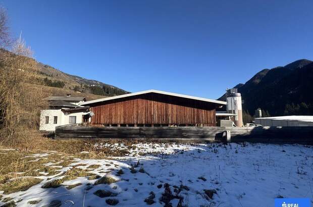 Gewerbeobjekt kaufen in 9912 Anras (Bild 3)