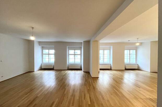 Wohnung mieten in 1010 Wien (Bild 1)