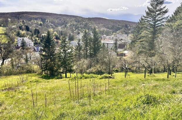 Grundstück kaufen in 3400 Klosterneuburg