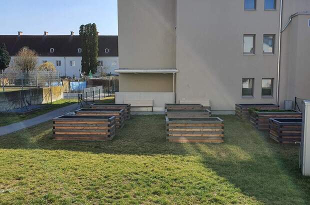 Terrassenwohnung mieten in 3500 Krems (Bild 5)
