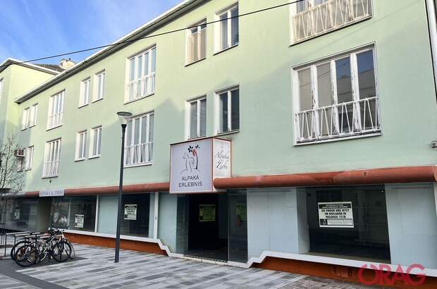 Gewerbeobjekt mieten in 2700 Wiener Neustadt (Bild 1)