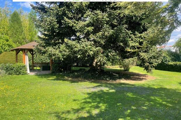 Haus mit Garten kaufen in 4470 Enns (Bild 5)