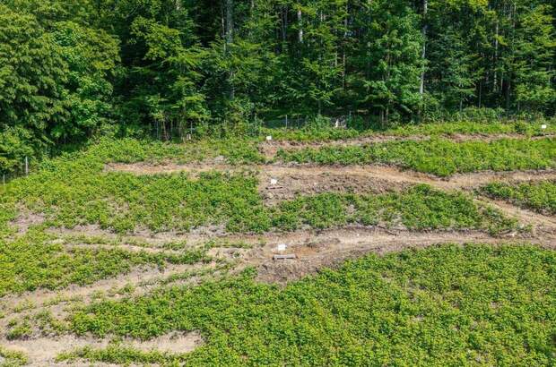 Wohnung kaufen in 4820 Bad Ischl (Bild 1)