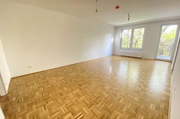 Terrassenwohnung mieten in 1190 Wien (Bild 2)