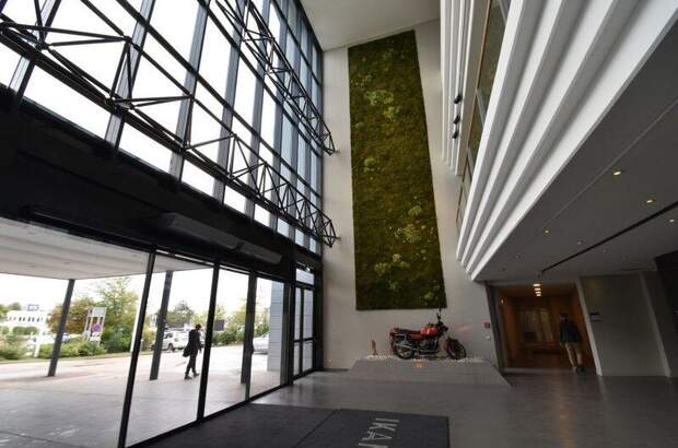 Gastronomie / Restaurant mieten in 2351 Wr. Neudorf (Bild 2)