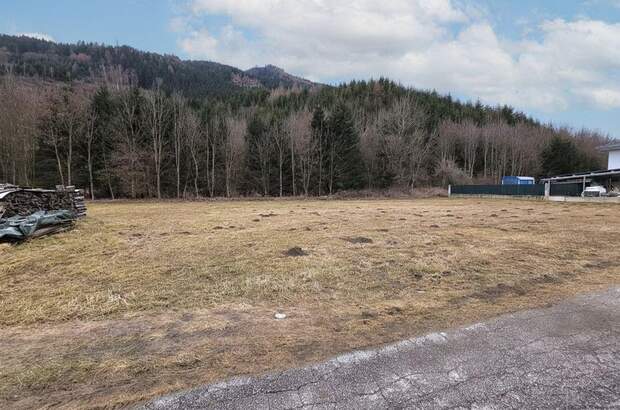 Grundstück kaufen in 9360 Friesach