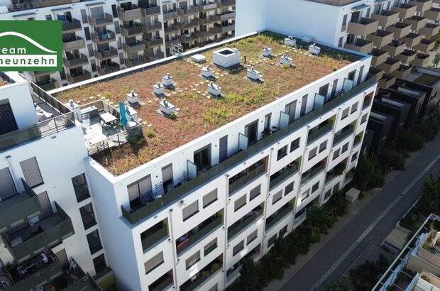 Einzelhandel mieten in 1220 Wien (Bild 1)