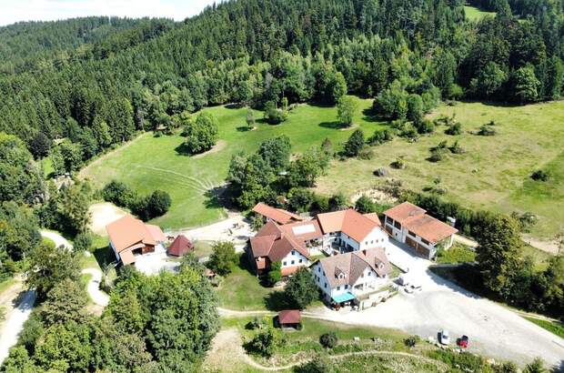 Gewerbeobjekt kaufen in 4363 Pabneukirchen (Bild 2)