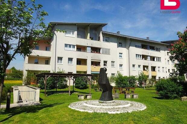 Wohnung mieten in 4210 Gallneukirchen (Bild 3)