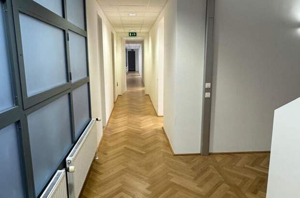 Gewerbeobjekt mieten in 1010 Wien (Bild 3)