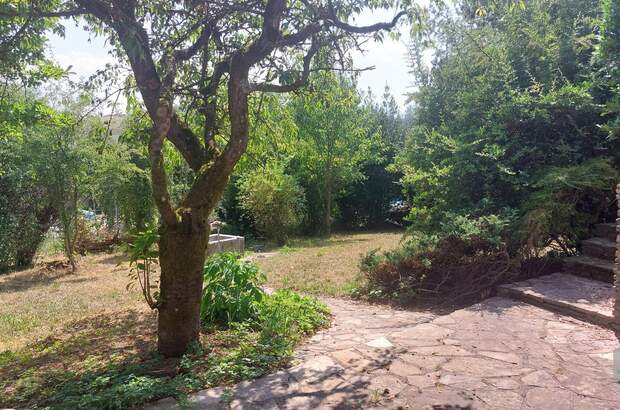 Einfamilienhaus kaufen in 4501 Neuhofen (Bild 5)