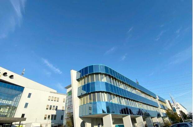 Büro / Praxis mieten in 2351 Wr. Neudorf (Bild 5)