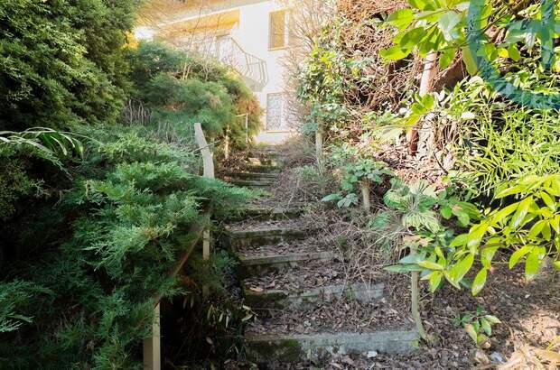 Haus mit Garten kaufen in 1160 Wien (Bild 5)