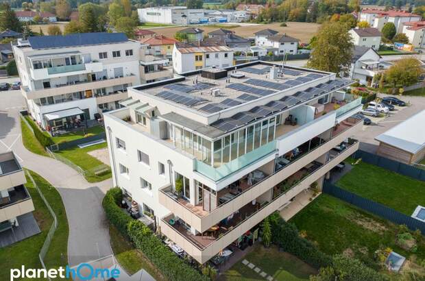 Terrassenwohnung kaufen in 4641 Steinhaus (Bild 2)