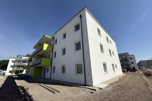 Terrassenwohnung kaufen in 2442 Unterwaltersdorf (Bild 3)