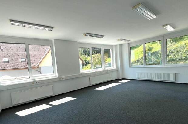 Gewerbeobjekt mieten in 8054 Graz (Bild 3)