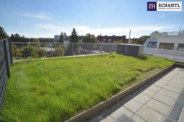 Terrassenwohnung kaufen in 1120 Wien (Bild 3)