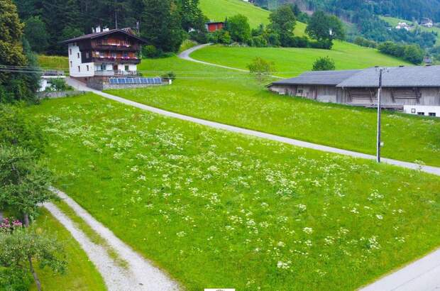 Grundstück kaufen in 6275 Stumm (Bild 3)