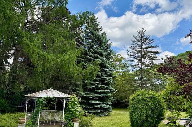 Wohnung kaufen in 3002 Purkersdorf (Bild 4)