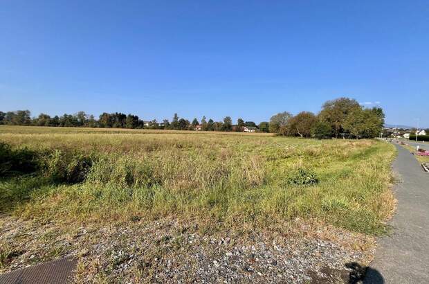 Grundstück kaufen in 7411 Markt Allhau (Bild 3)