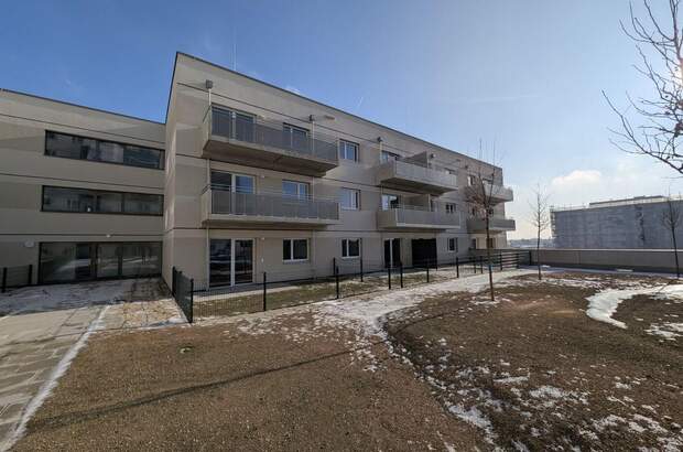 Wohnung mieten in 1220 Wien (Bild 2)