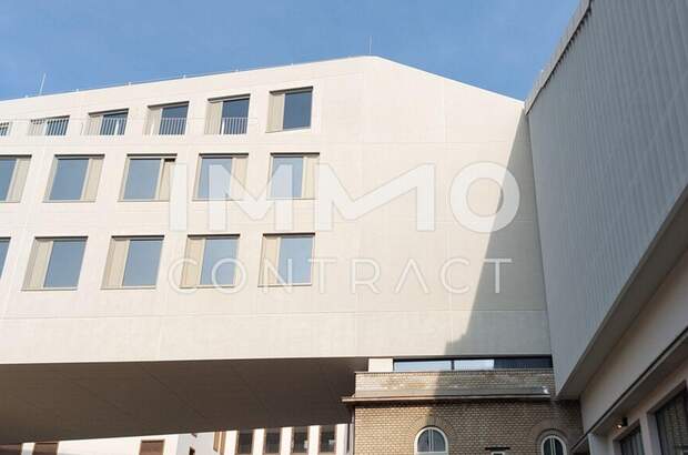 Gewerbeobjekt mieten in 1230 Wien (Bild 3)