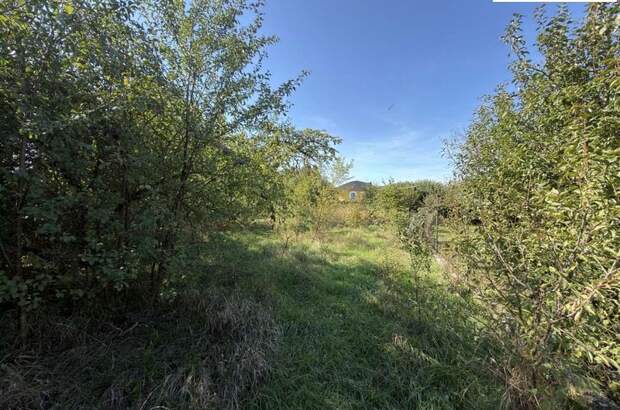 Einfamilienhaus kaufen in 3200 Ober (Bild 5)