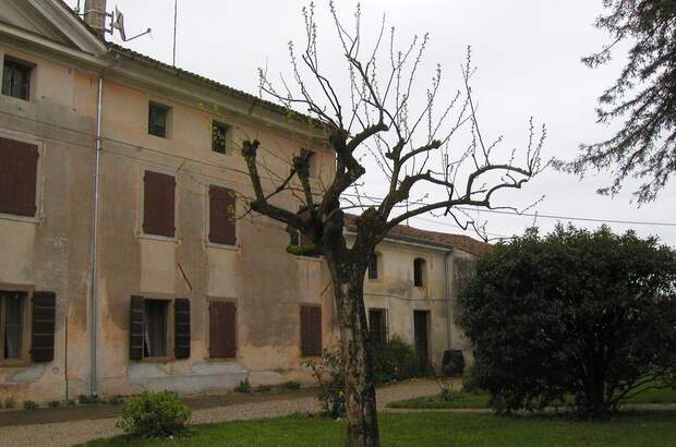 Haus kaufen in 33042 Buttrio UD (Bild 5)