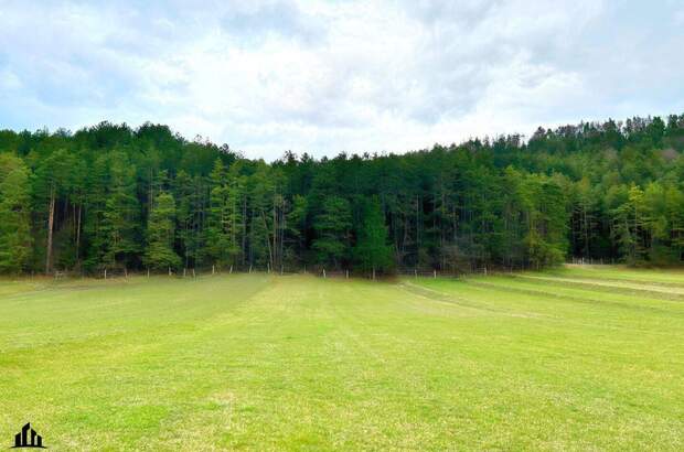 Grundstück kaufen in 2763 Pernitz