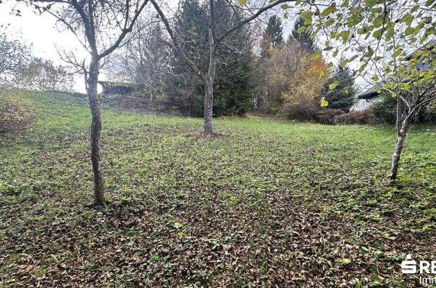 Grundstück kaufen in 9074 Keutschach (Bild 4)