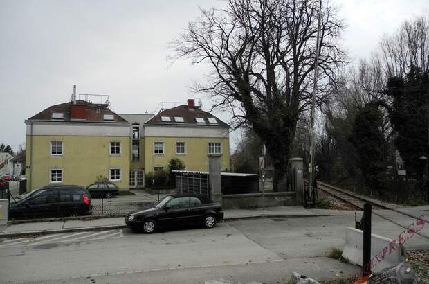 Halle / Lager / Produktion mieten in 1230 Wien (Bild 1)