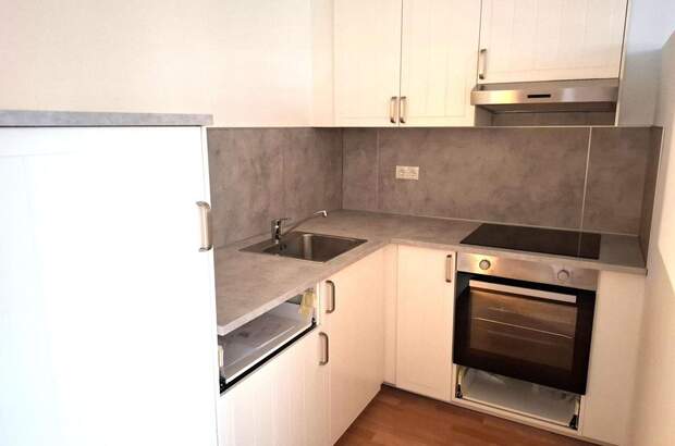 Mietwohnung in 1100 Wien (Bild 1)