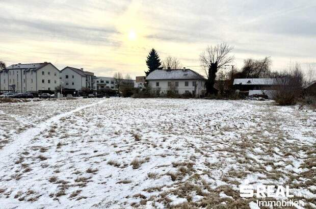 Grundstück kaufen in 4070 Pupping (Bild 3)