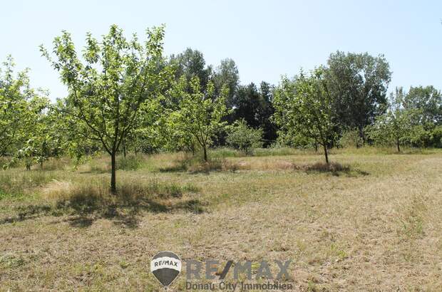 Grundstück kaufen in 2011 Sierndorf (Bild 3)