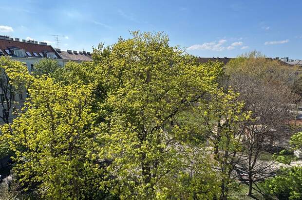 Altbauwohnung kaufen in 1020 Wien (Bild 1)