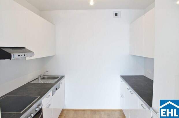 Terrassenwohnung mieten in 1110 Wien (Bild 2)