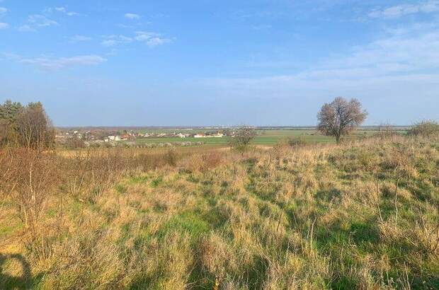 Grundstück kaufen in 2425 Nickelsdorf (Bild 2)