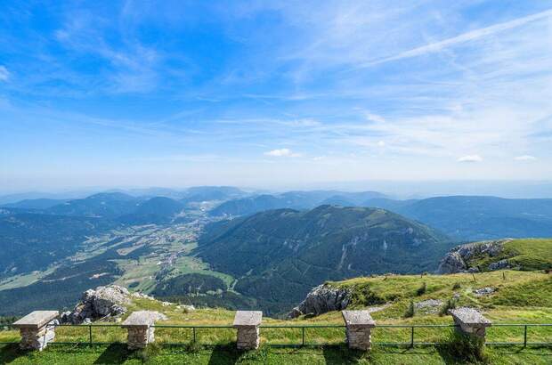 Gewerbeobjekt kaufen in 2734 Puchberg (Bild 3)