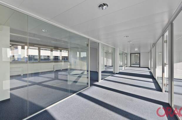 Gewerbeobjekt mieten in 1030 Wien (Bild 3)