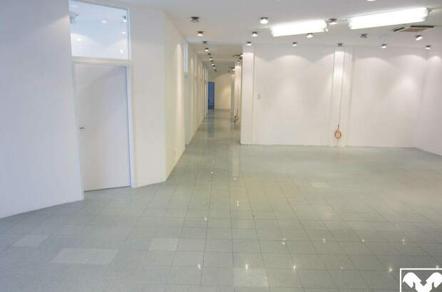 Gewerbeobjekt mieten in 4240 Freistadt (Bild 5)