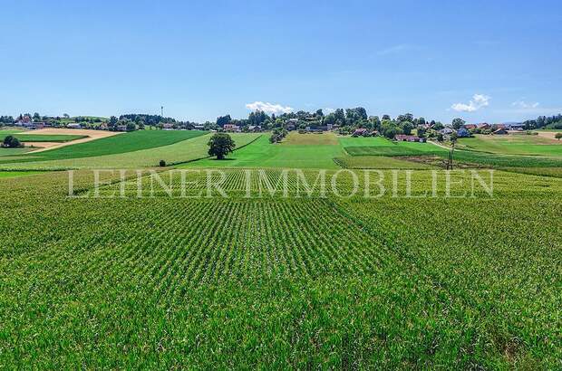 Einfamilienhaus kaufen in 8143 Dobl (Bild 3)