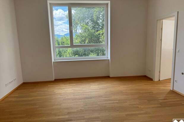 Gewerbeobjekt mieten in 2630 Ternitz (Bild 5)