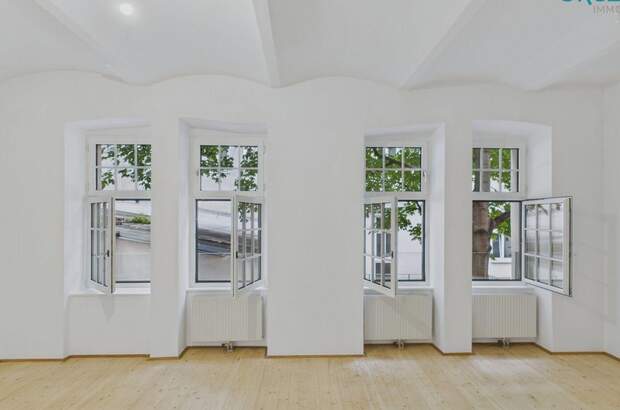 Altbauwohnung mieten in 1070 Wien (Bild 3)